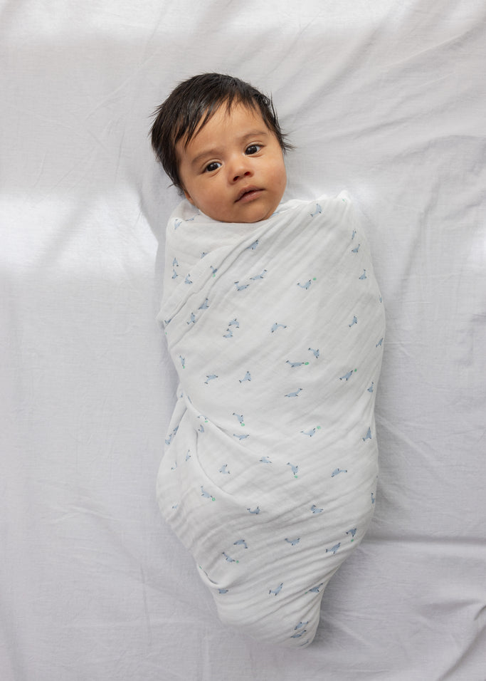 Swaddle, Swaddle - Dolphin