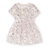 Silver sequin dress with short sleeves and round neckline