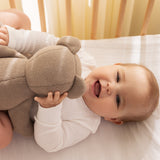 Teddy, Teddy Bear - Warm Stone