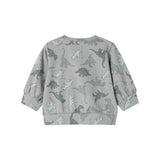 Telmo, Blouse - Dino Jungle