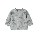 Telmo, Blouse - Dino Jungle