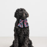 Hund med ternet sløjfe i mørkeblå og røde farver med juletema