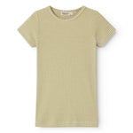 Short-sleeved children's t-shirt with green stripes.