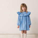 Child wearing a blue dress with a floral print and lace detail.