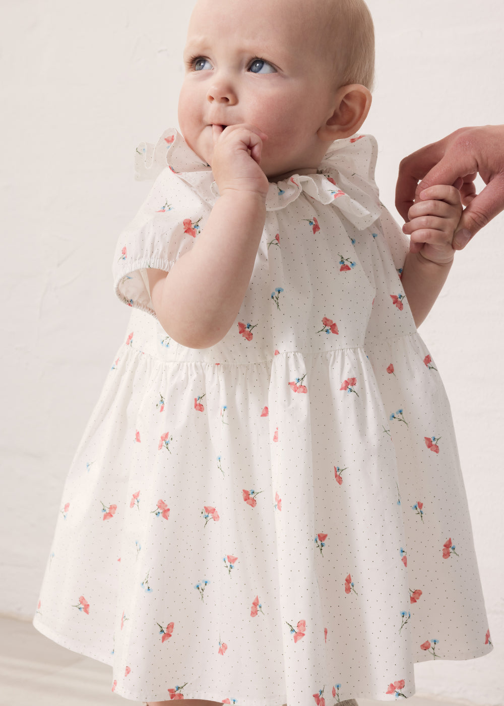 Dresses for babies in beautiful colors and classic cuts MarMar Copenhagen Dresses for babies in beautiful colors and classic cuts MarMar Copenhagen