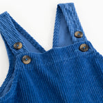 Blue suspenders with round buttons on the chest and adjustable straps.