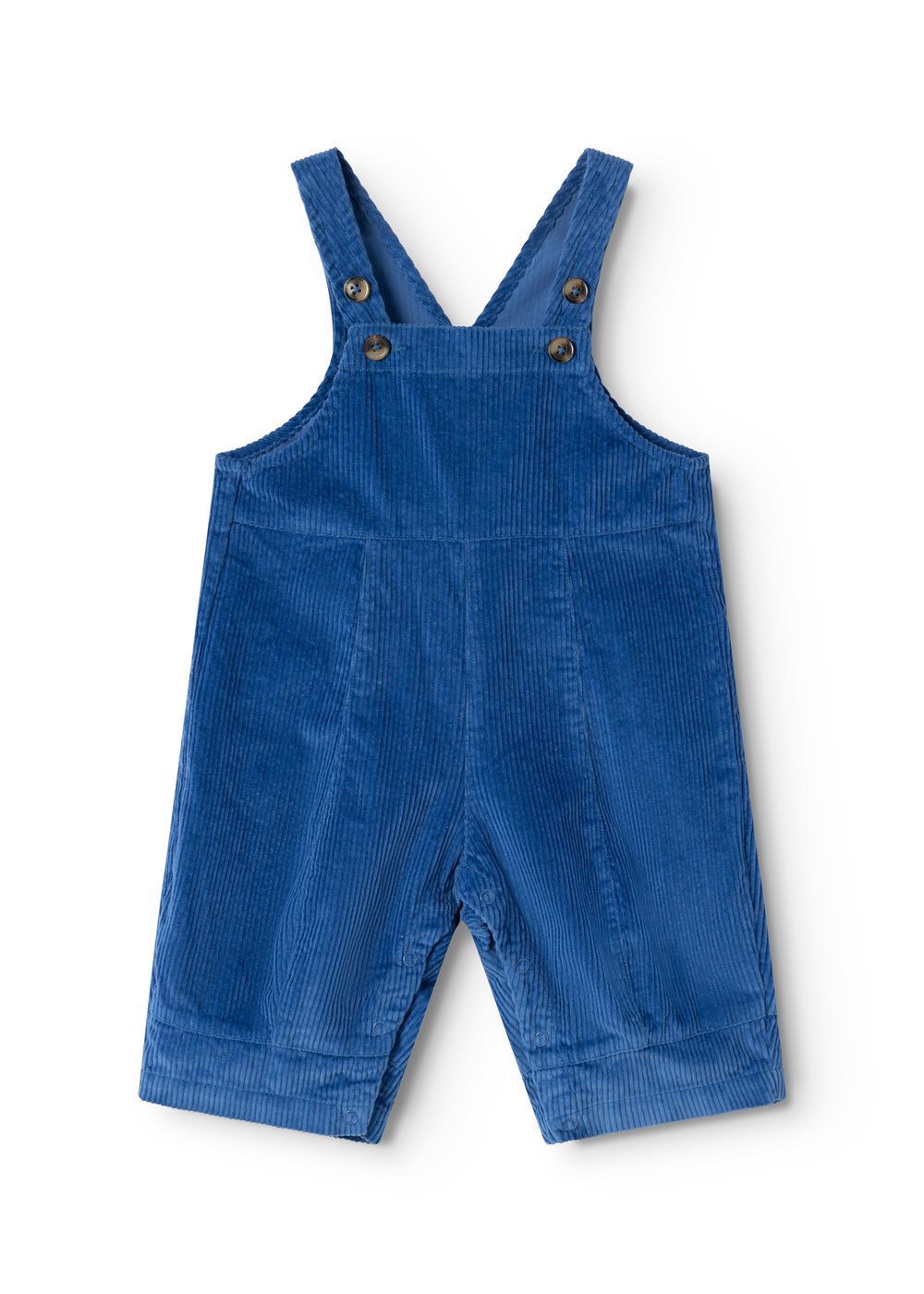 Blue suspenders with wide straps and front buttons