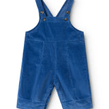 Blue suspenders with wide straps and front buttons