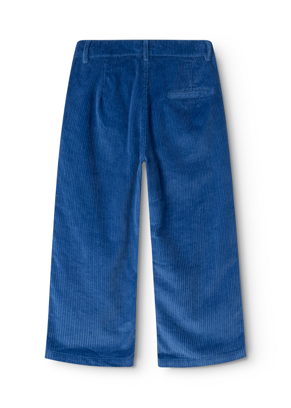 Dark blue velvet trousers seen from behind with straight legs and pocket details.