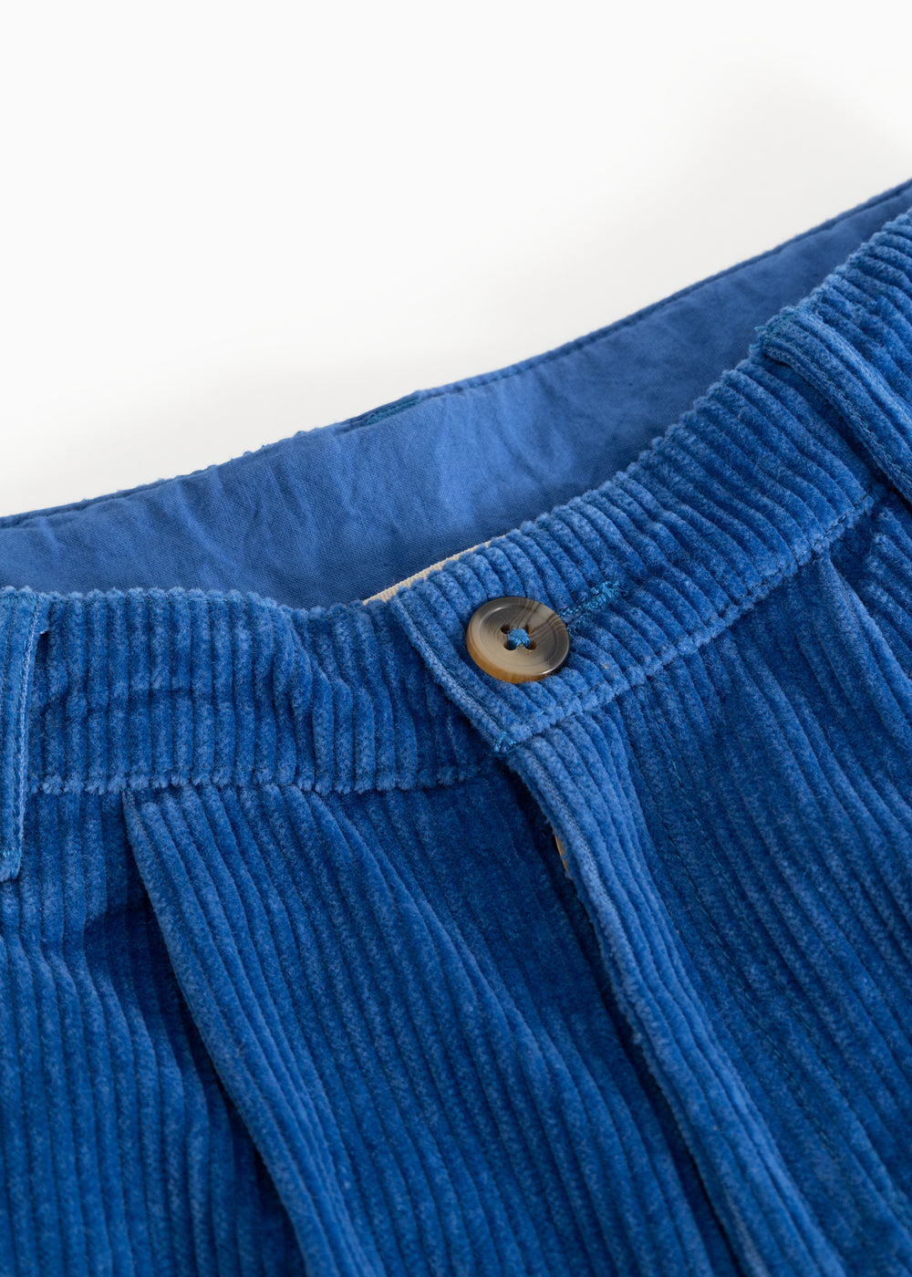 Blue velvet pants: elastic waist and button closure
