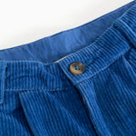 Blue velvet pants: elastic waist and button closure