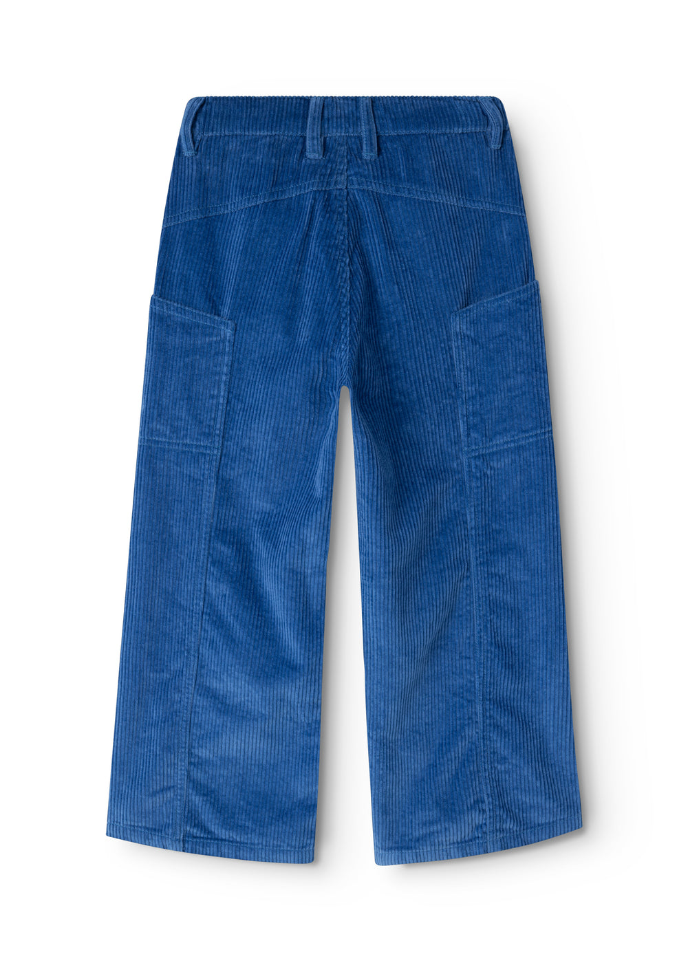 Blue corduroy trousers with elastic waistband and back pockets.