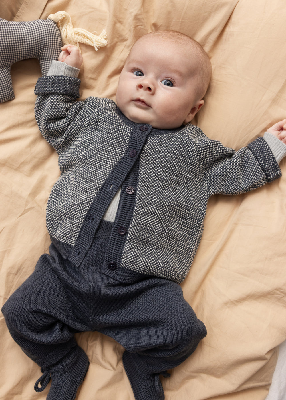 Little Horse, Fabric Horse - Blue Check