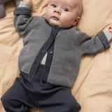 Little Horse, Fabric Horse - Blue Check