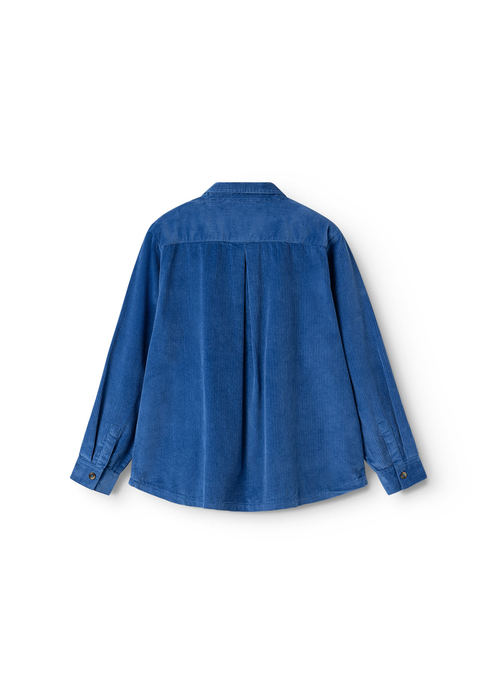 Blue shirt with wide sleeves and pleated detail at the back, view from behind.